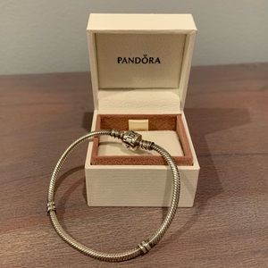 Pandora Charm Bracelet